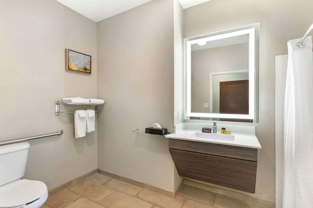Suite, 1 King Bed, Accessible, Non Smoking (with Sofabed) - Photo 7
