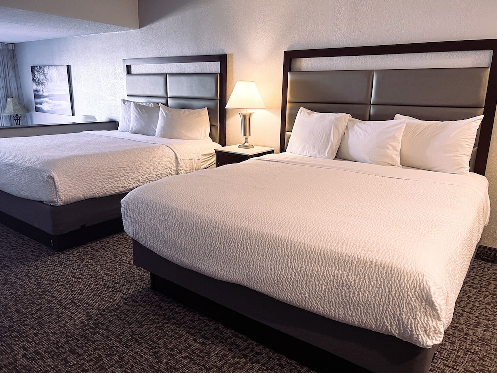 Suite, Lake View - Photo 5