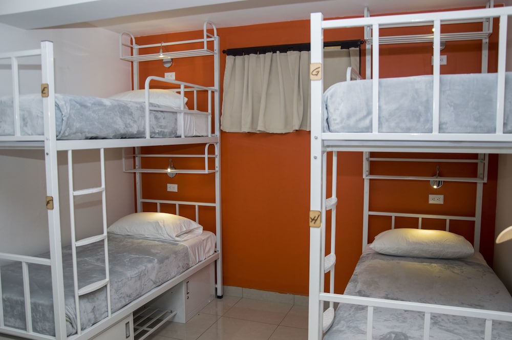 Shared Dormitory photo 1