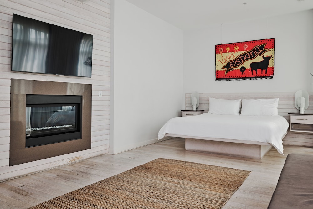 Studio Suite, Fireplace photo 1