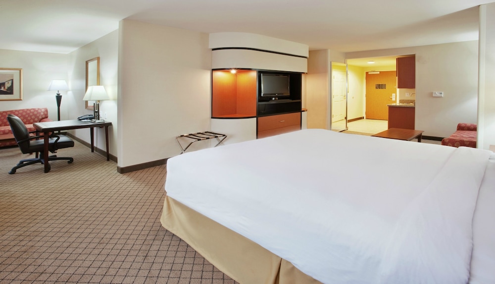 Suite, 1 King Bed (Extra Floor Space) - Photo 1