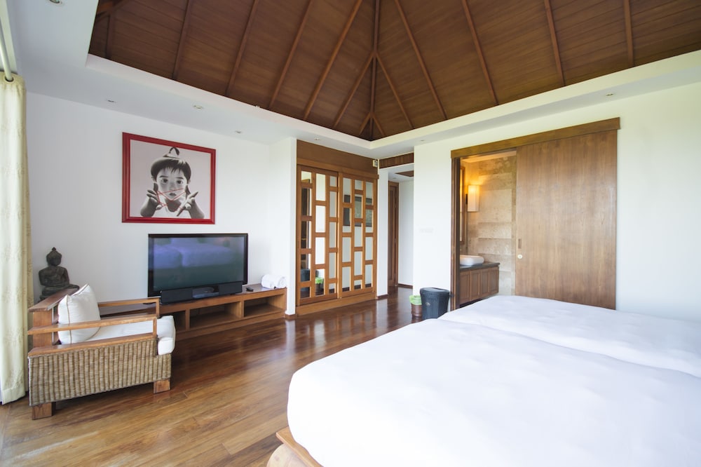 Deluxe Villa photo 2