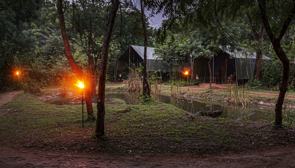 Glamping bordering Yala with a Guided Bush Walk photo 3