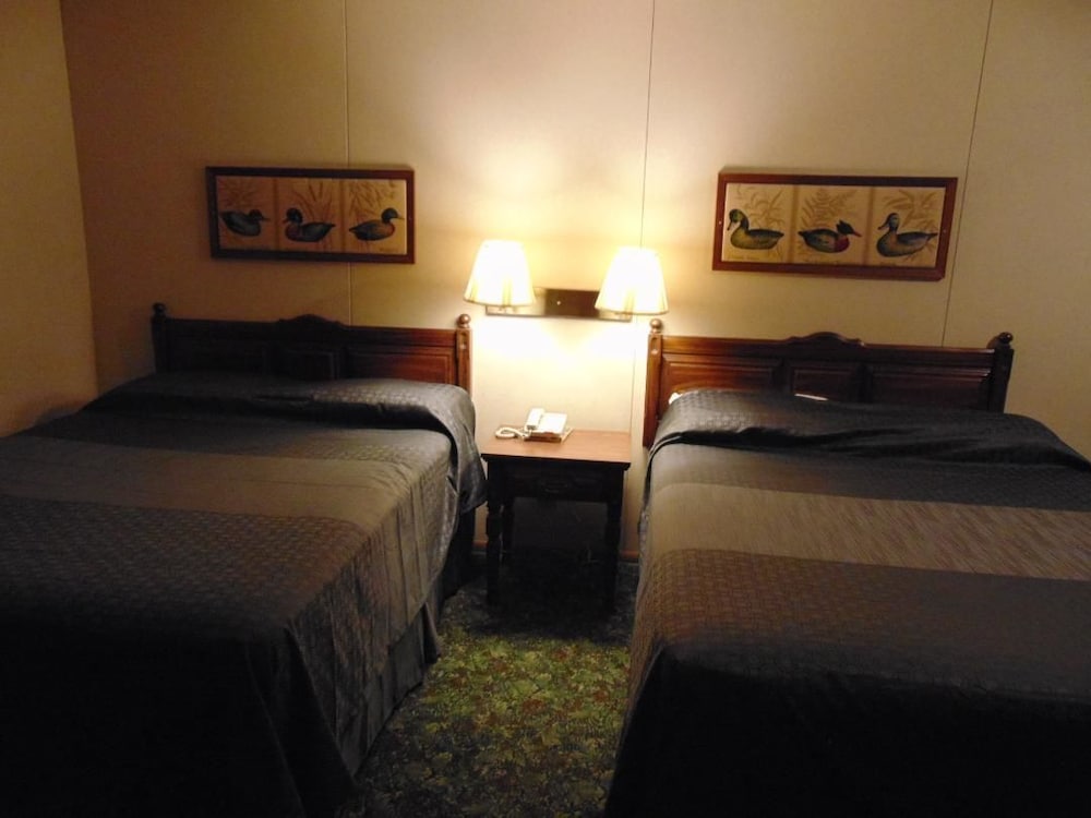 Double Room, Smoking photo 3