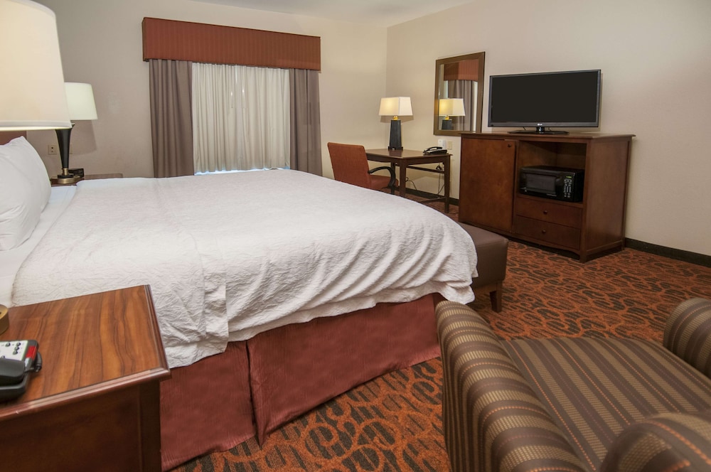 Room, 1 King Bed, Accessible, Non Smoking - Photo 3