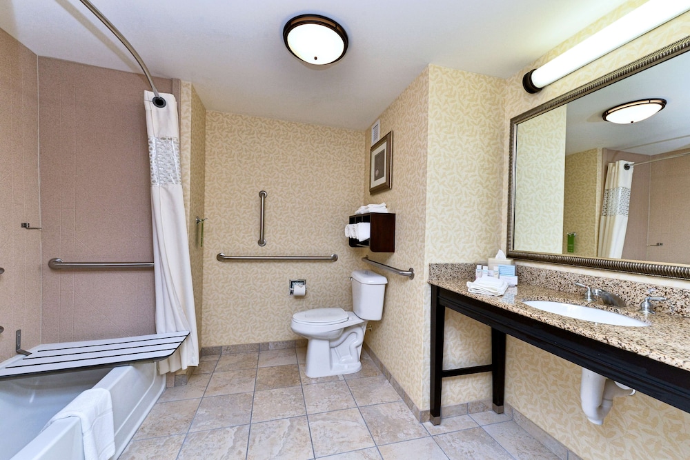 Room, 1 King Bed, Accessible - Photo 7