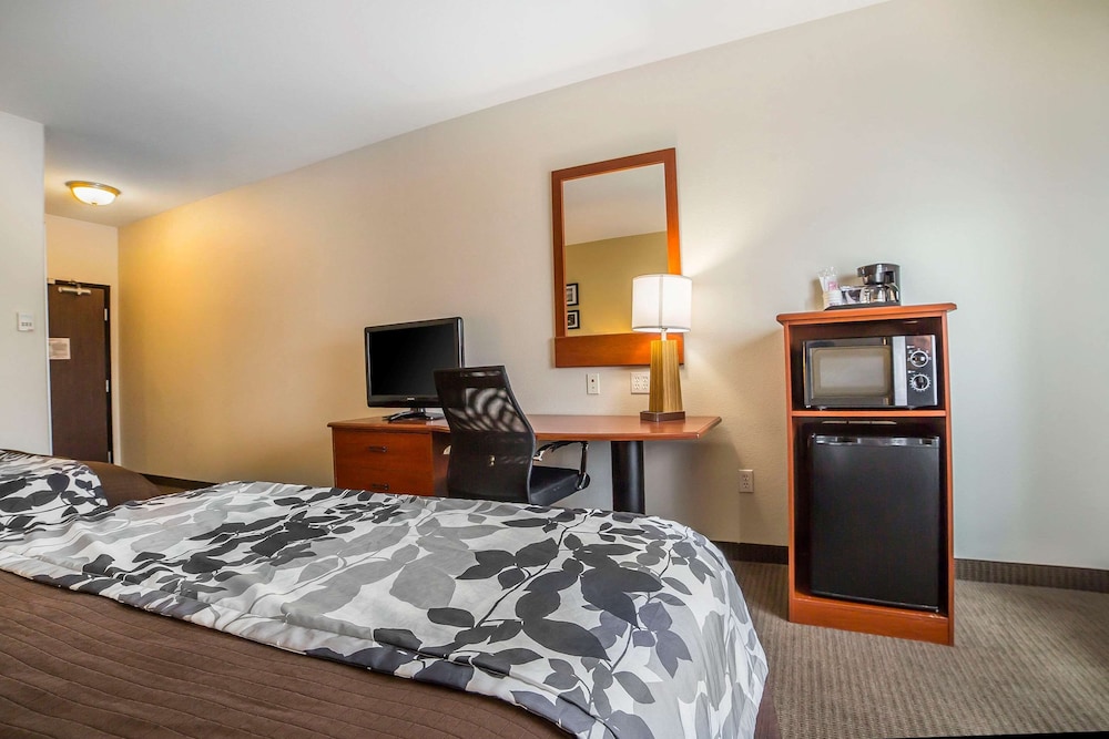Standard Room, 1 King Bed, Non Smoking - Photo 3