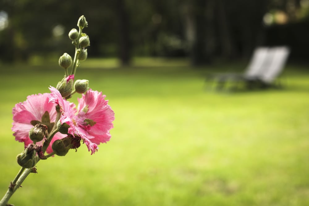Double Room, Private Bathroom, Garden View photo 3