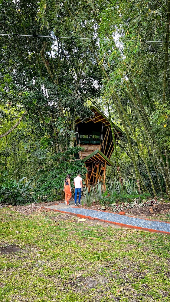 Deluxe Tree House photo 2