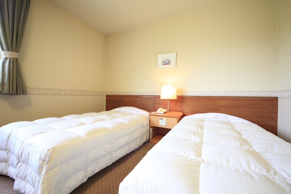 Western-style room photo 3