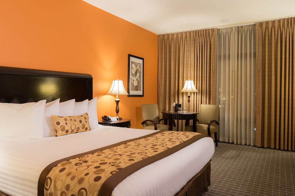 Executive Room, 1 King Bed, Non Smoking - Photo 11
