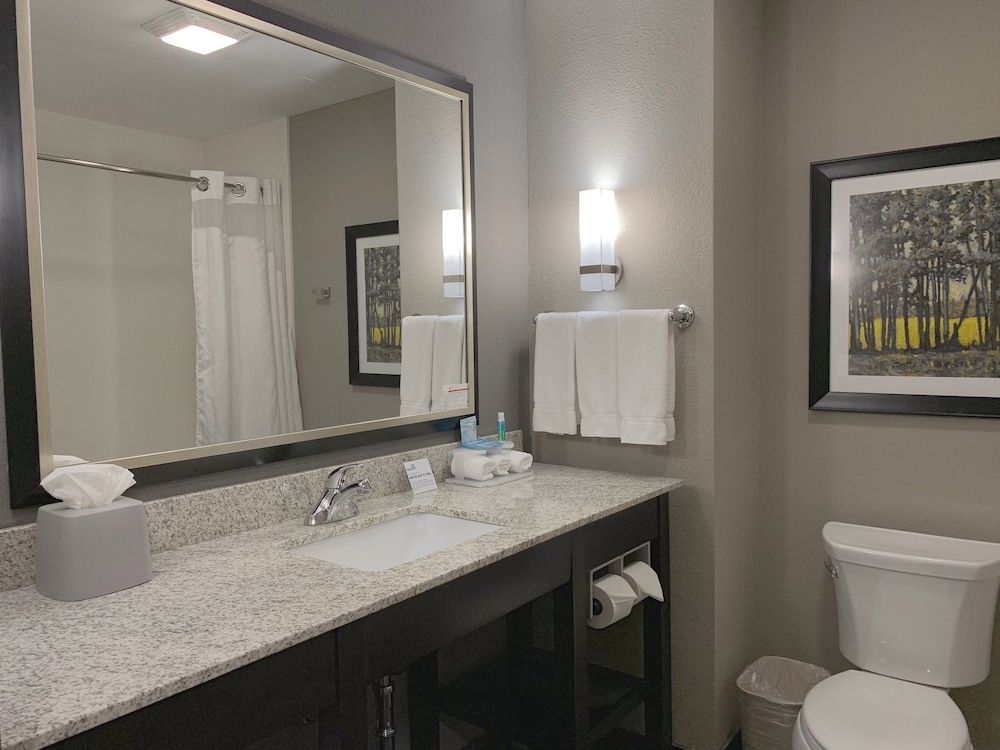 Suite, 1 King Bed (Comm, Extra Living Area) photo 1