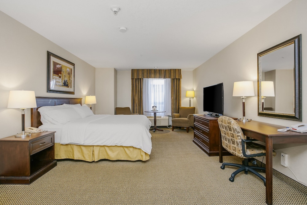 Standard Room, 1 King Bed, Accessible, Jetted Tub - Photo 5