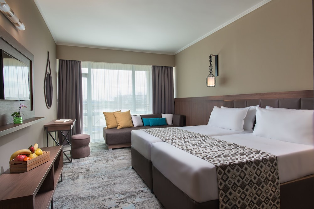 Deluxe Double Room, City View photo 3