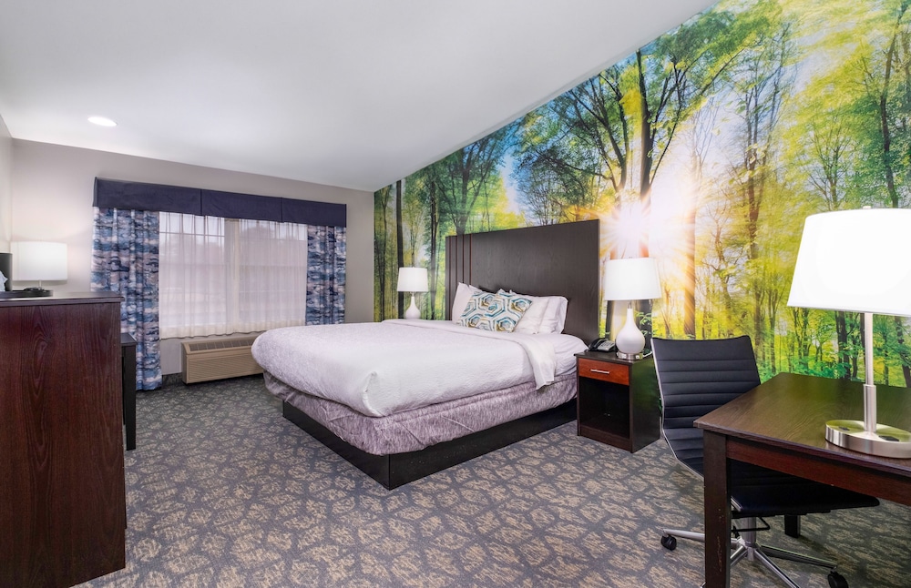 Deluxe Single Room, 1 King Bed (Deluxe King)