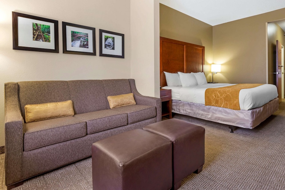Suite, 1 King Bed with Sofa bed, Accessible, Non Smoking - Photo 7