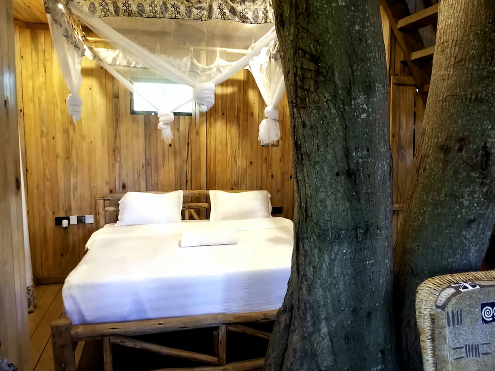 Executive Tree House photo 1