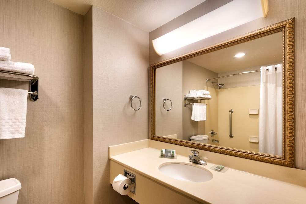 Suite, 1 King Bed, Non Smoking, Jetted Tub (with Sofabed) - Photo 8