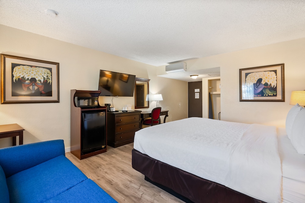 Standard Single Room photo 3