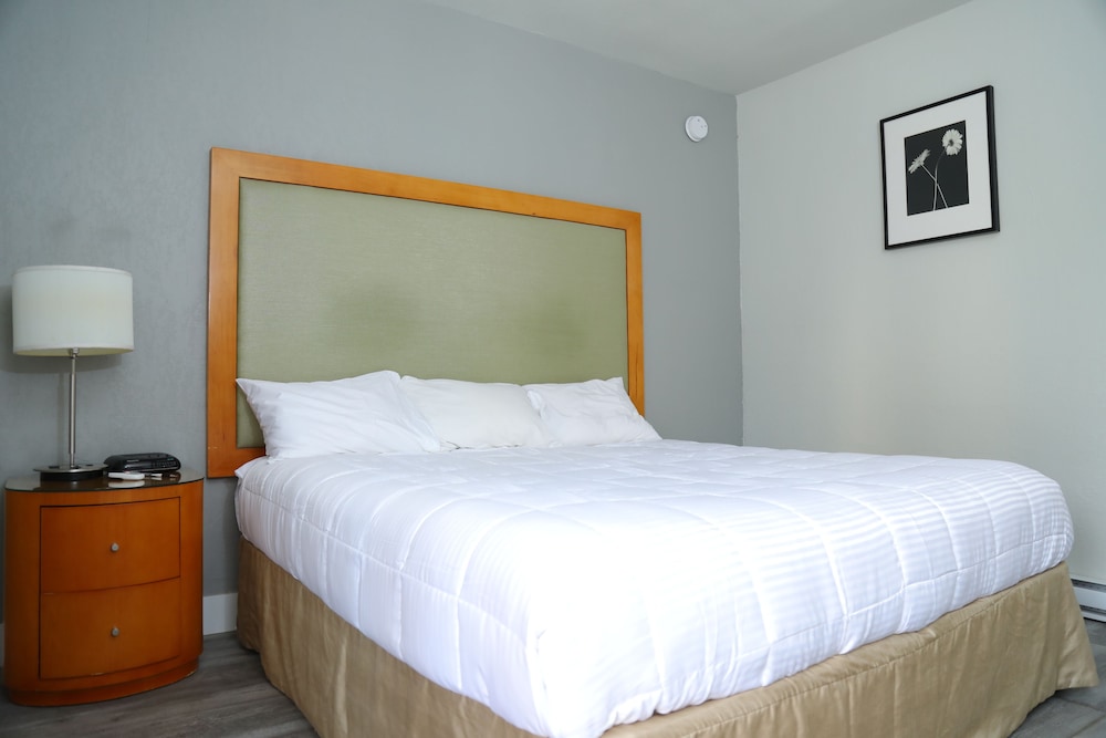 Standard Single Room, 1 Queen Bed photo 1