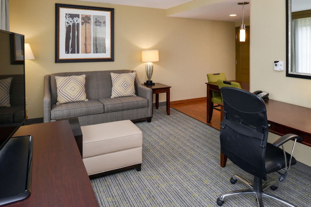 Studio, 1 King Bed, Accessible (Mobility & Hearing, Roll-in Shower) photo 3