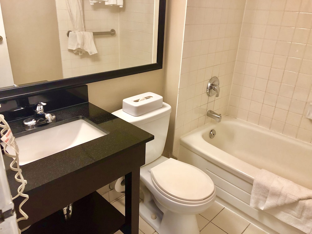 Double Room, 2 Double Beds - Photo 9