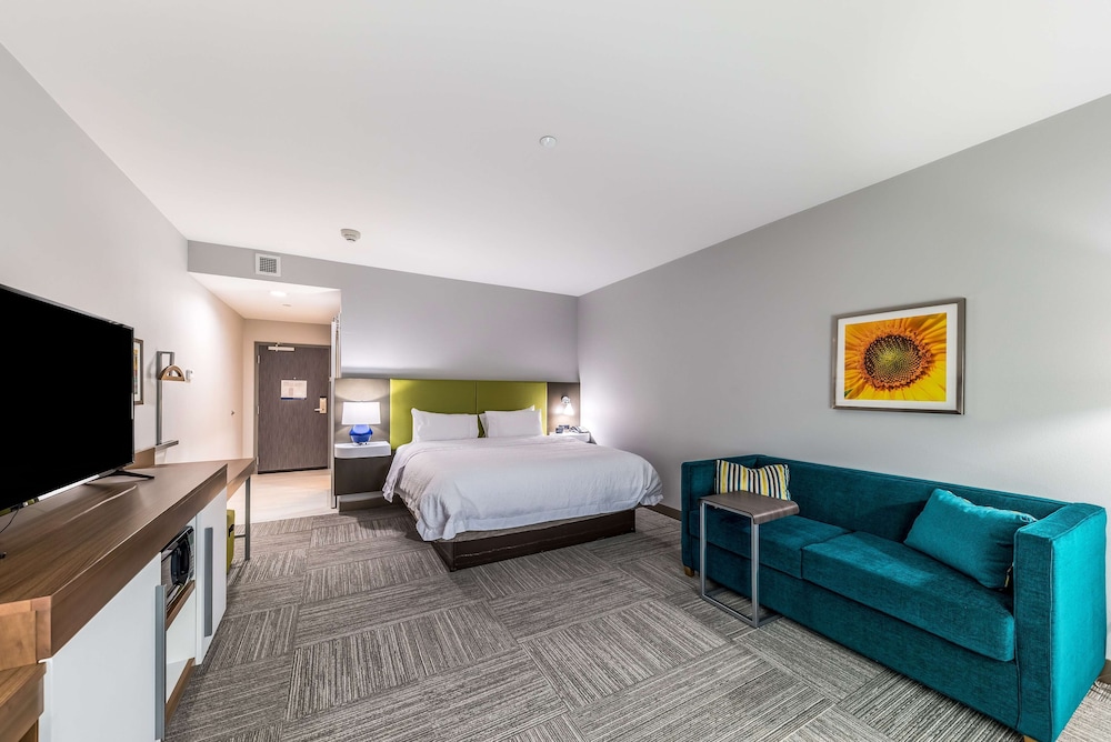 Room, 1 King Bed, Accessible, Bathtub (Mobility & Hearing) photo 3