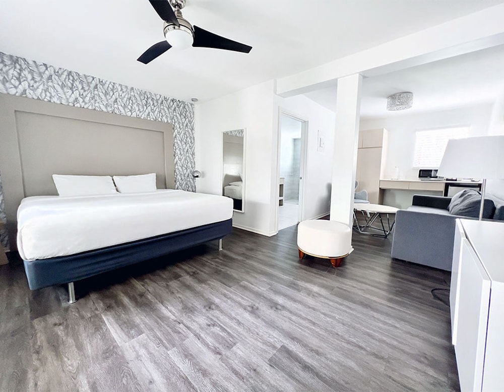 Studio, 1 King Bed, Accessible photo 2