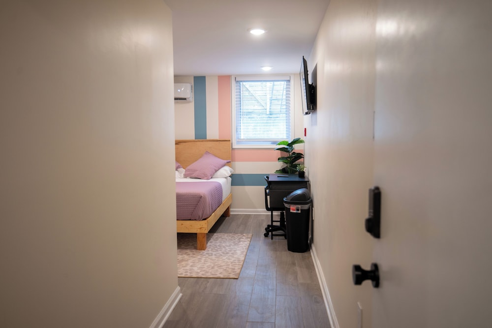 Junior Studio Suite