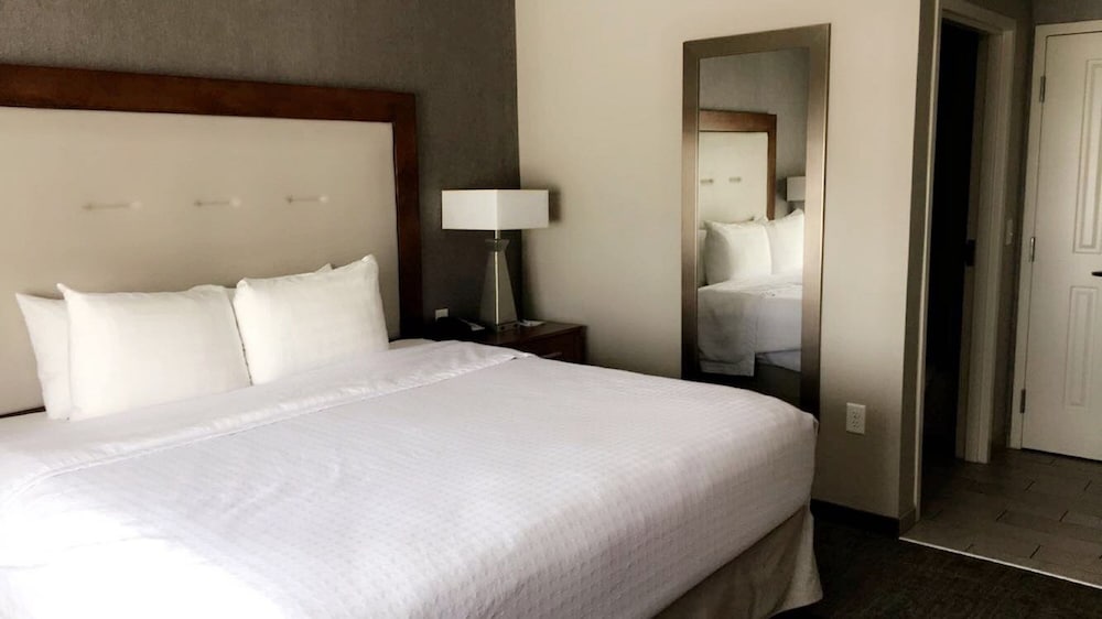 Studio Suite, 1 King Bed, Non Smoking