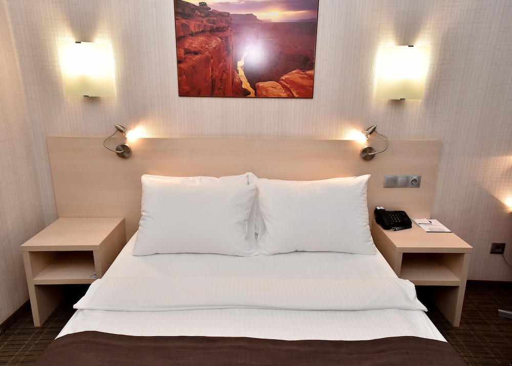 Business Double Room photo 2