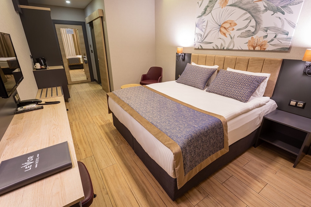 Deluxe Room - Photo 4