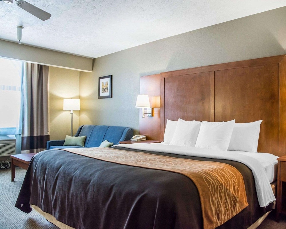 Standard Room, 1 King Bed, Non Smoking - Photo 1