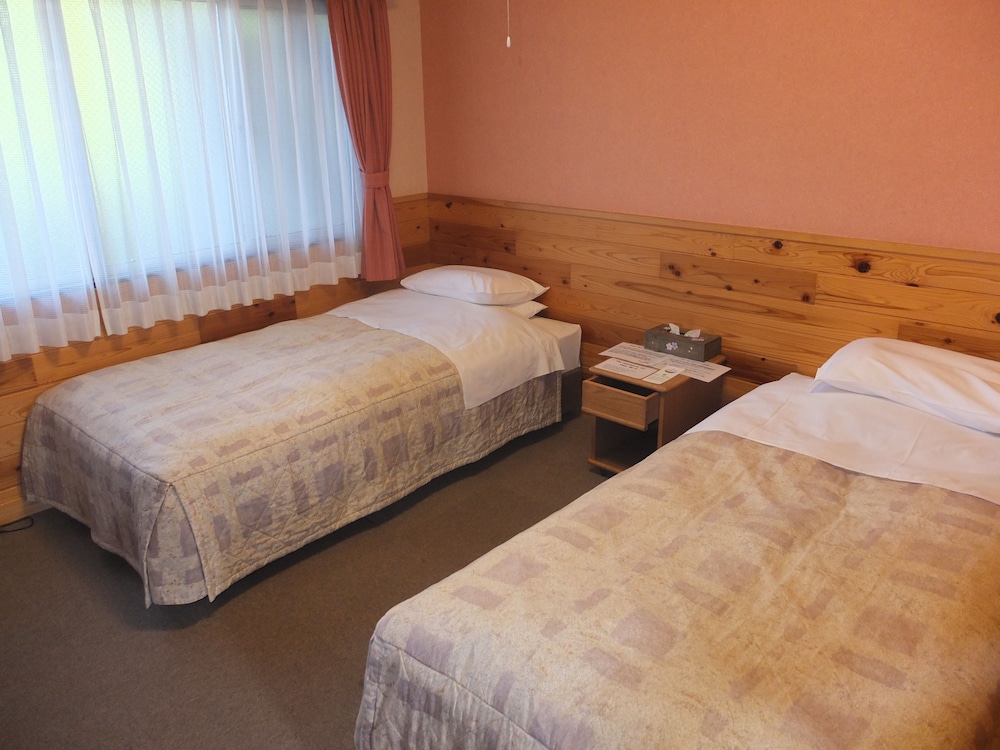 Western Twin Room without bathroom photo 3