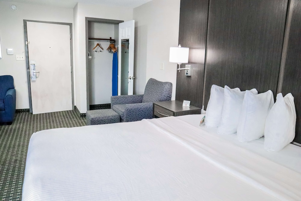 Suite, 1 King Bed, Non Smoking, Refrigerator & Microwave (Larger Room;with Sofabed) - Photo 1
