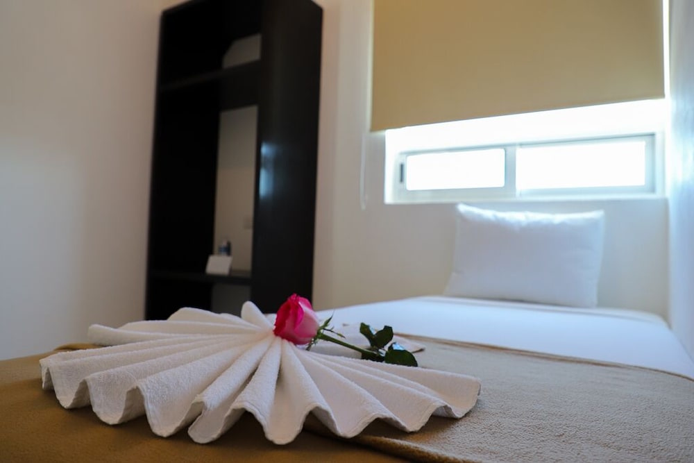 Basic Single Room, 1 Twin Bed