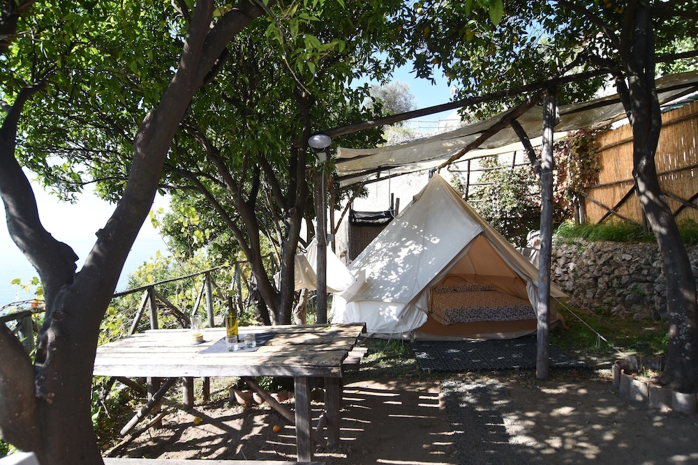Classic Tent photo 3