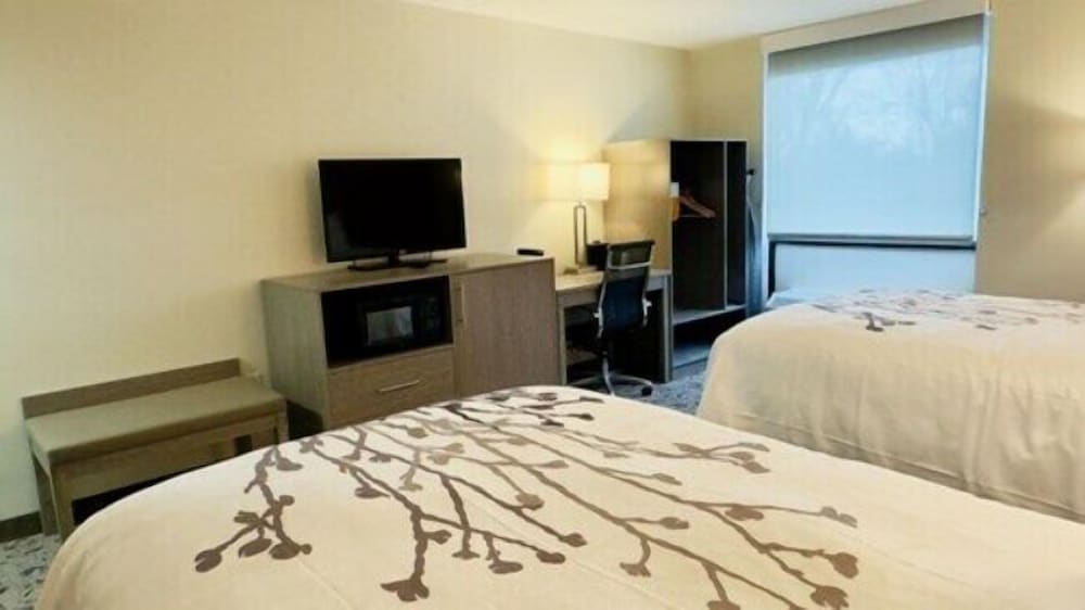 Standard Room, 2 Double Beds, Non Smoking - Photo 3