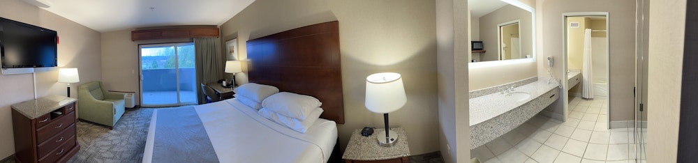 Premium Room, 1 King Bed, Jetted Tub photo 1