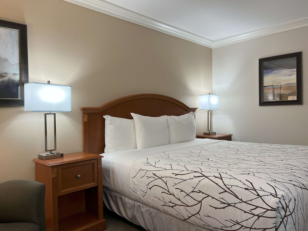 Standard Room, 1 Queen Bed, Non Smoking, Refrigerator & Microwave