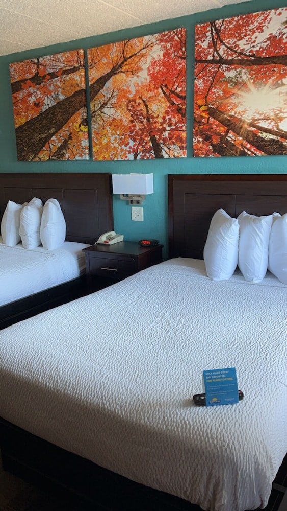Double Room, 2 Double Beds - Photo 1