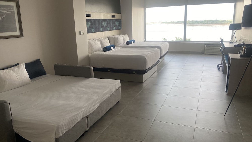 Family Room, 1 King Bed with Sofa bed photo 1