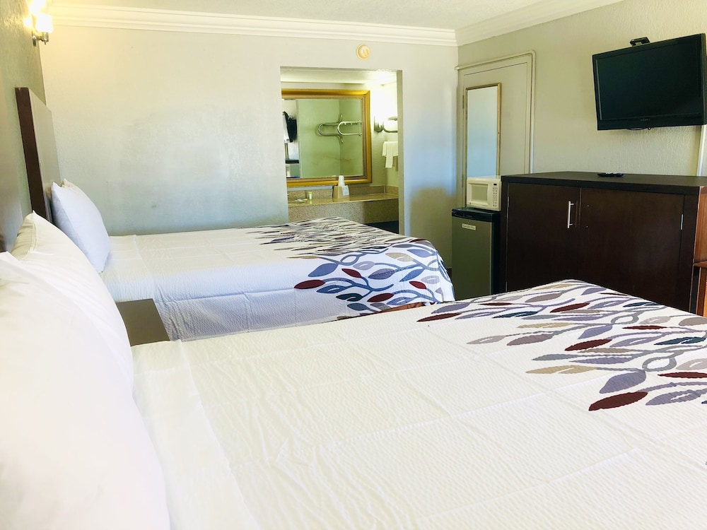 Room, 1 King Bed photo 3