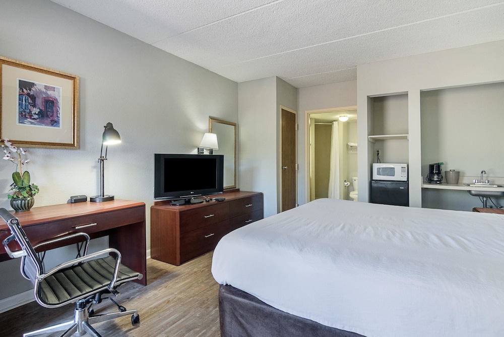 Standard Room, 1 King Bed, Non Smoking photo 3