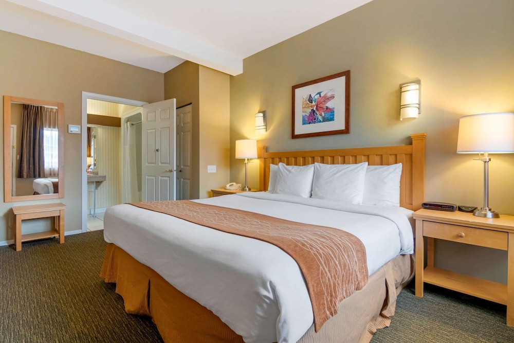 Suite, 1 King Bed with Sofa bed, Non Smoking (Efficiency) - Photo 1