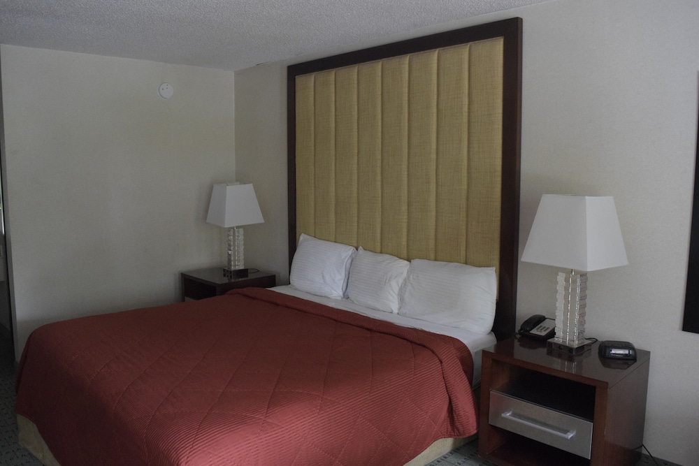 Standard Room, 1 King Bed (No Pets Allowed) photo 1