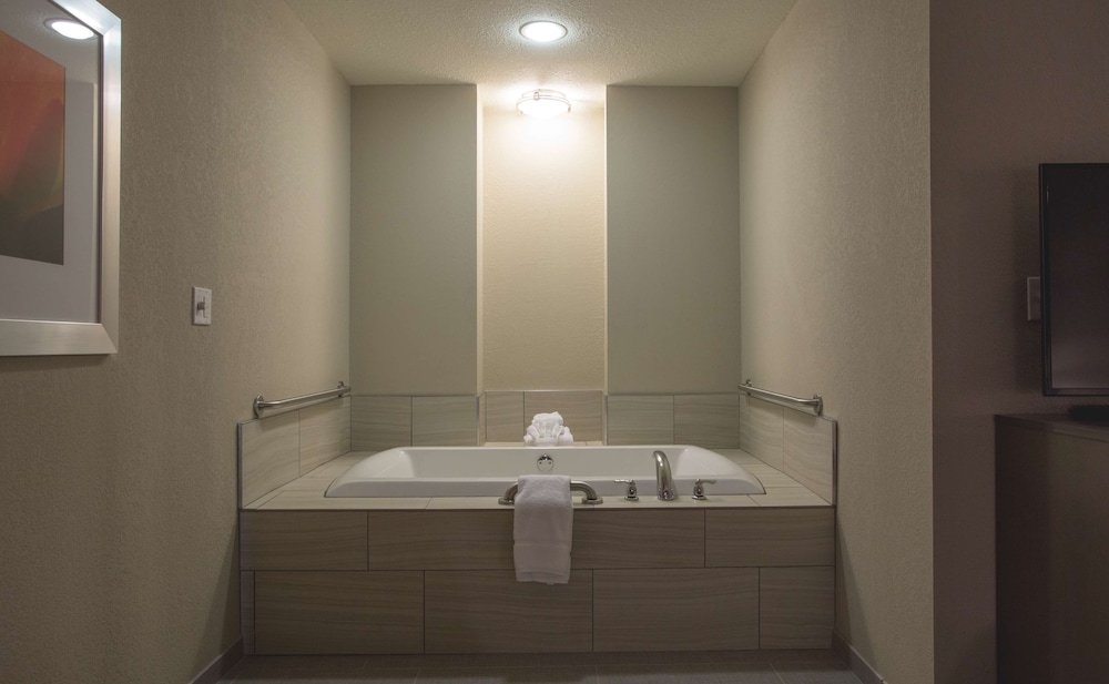 Hilton Garden Inn Bolingbrook I-55, 写真 4