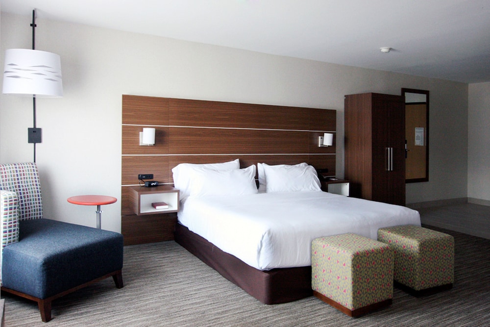 Standard Room, 1 King Bed, Mobility Accessible (Accessible Shower) - Photo 4