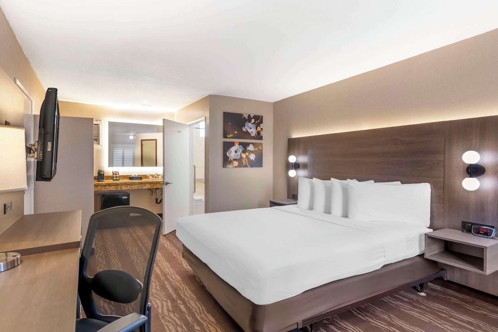 Standard Room, 1 King Bed, Accessible, Non Smoking - Photo 2