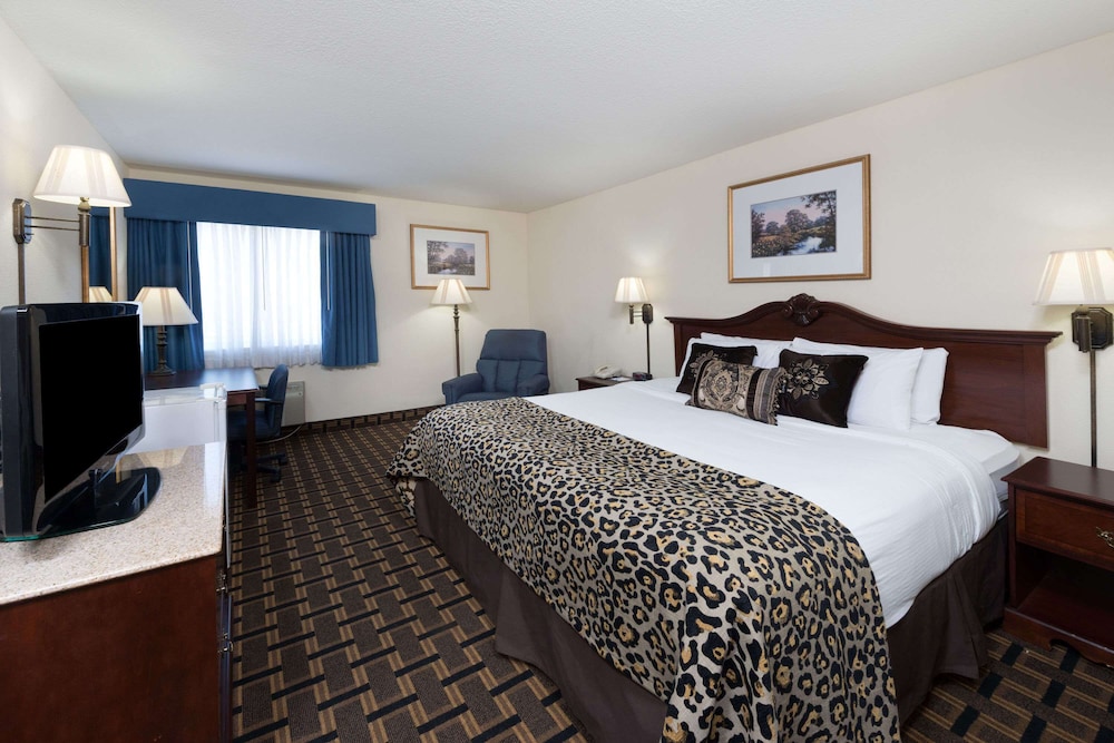 Studio Suite, 1 King Bed, Non Smoking photo 3